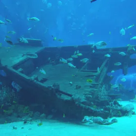 wrecks to see underwater