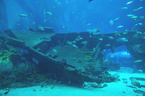 wrecks to see underwater