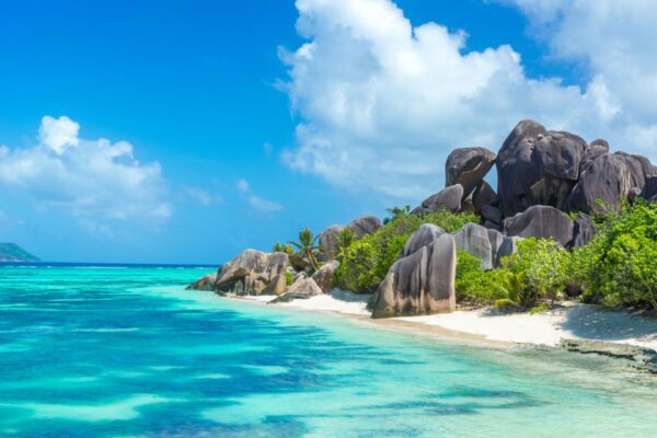 Un universo incantevole: la pesca sub alle Seychelles tra fondali e credenze speciali