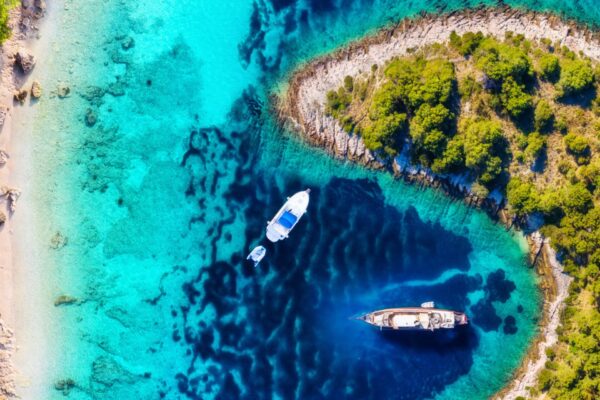Le migliori immersioni che puoi fare nel Mar Adriatico