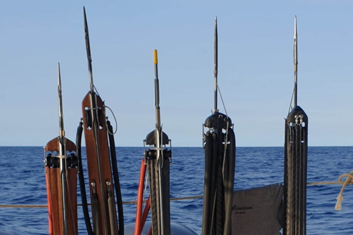 Underwater fishing: how to choose a speargun