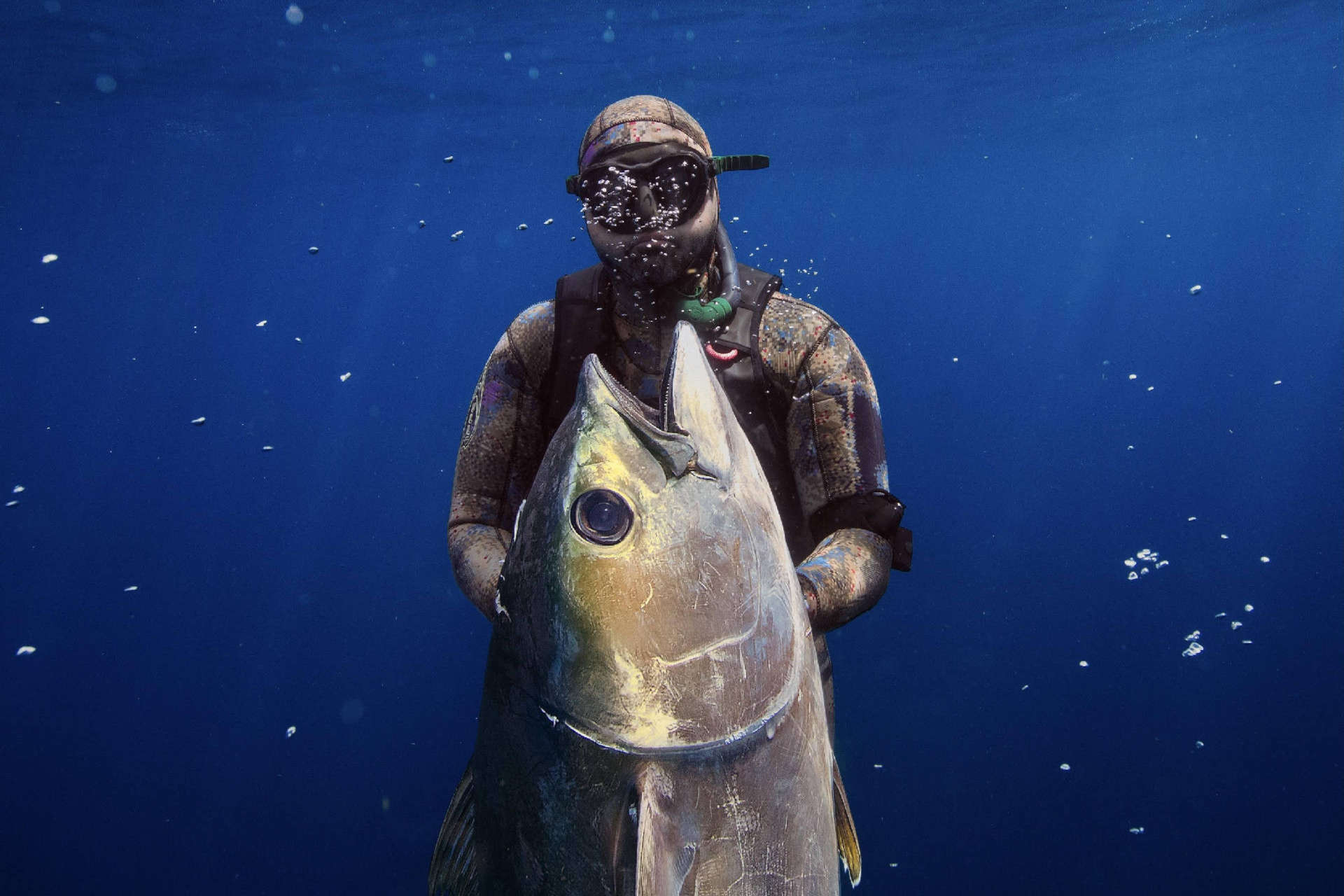 الصيد الحر تحت الماء: السلامة والمعدات