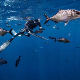 Freediving underwater fishing: the guide