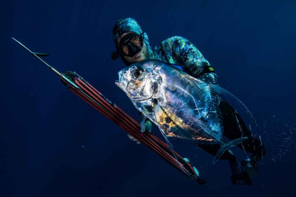 Spearfishing in the blue or in the ocean, at depth