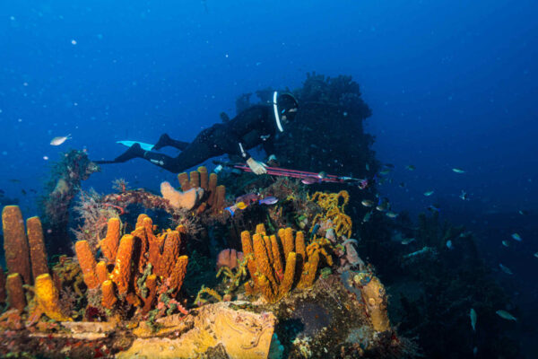 The wonders of the deep seas: extreme underwater fishing